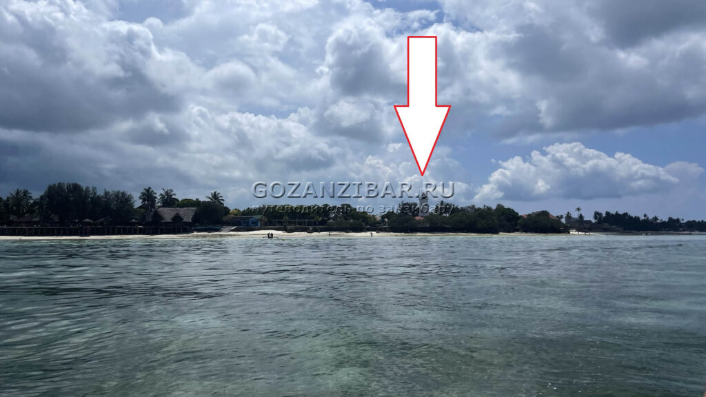 где найти морских черепах занзибара