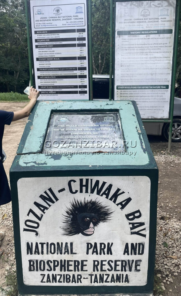 Джозани форест